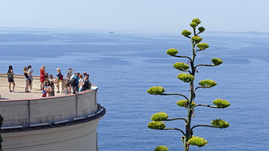 Chambre Chez L'Habitant Nice Baie Des Anges Exterior photo
